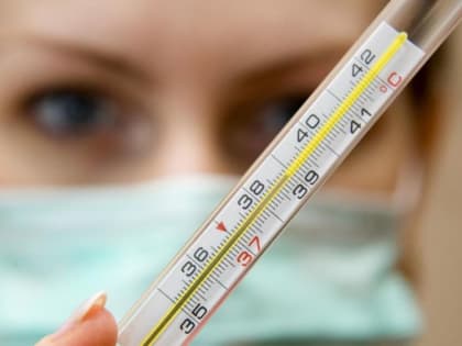 О гриппе и мерах его профилактики