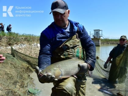 Россия и Белоруссия хотят создать рыболовную флотилию в Крыму