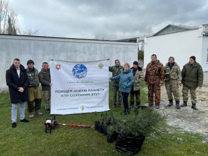 На территории Солнечнодолинской школы высадили 65 саженцев различных деревьев