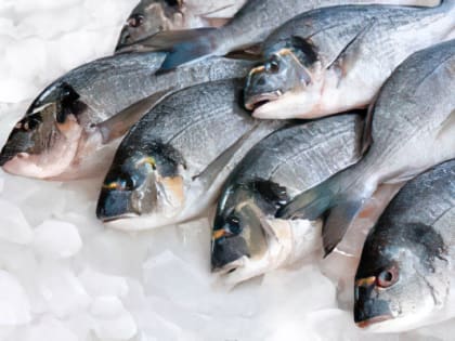 На субсидирование ж/д перевозок сельхоз- и рыбной продукции дополнительно выделено 2 млрд рублей