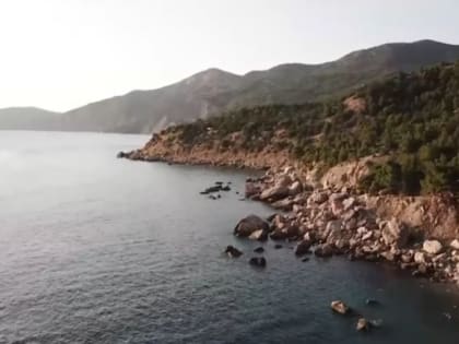 Погода на 24 января: в Крыму и Севастополе осадков не прогнозируется