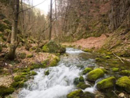 Снегопады дали водохранилищам Крыма больше двух млн кубов воды