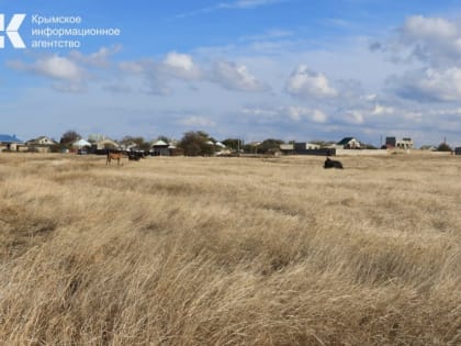 В Крыму передали в работу более 700 земельных участков