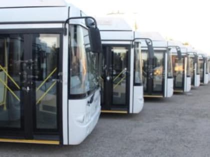 С нового года на улицы Ялты выйдет больше автобусов