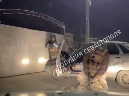 Браконьеры из Севастополя убили кабана в Байдарском заказнике