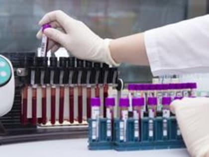 В Россию пришел "Кракен"