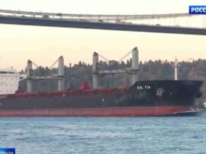 Эксперты предлагают переправлять крымское зерно в Сирию челночными судами