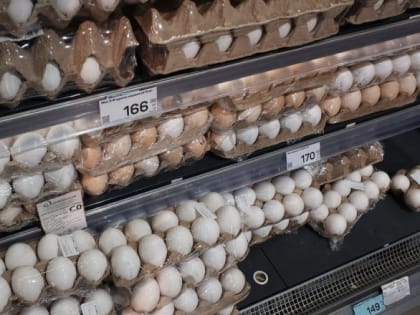 Генпрокурор занялся яйцами