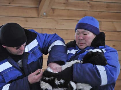 Минимущество обращает внимание на изменение сроков уплаты арендной платы за земельные участки, находящиеся в собственности Республики Крым