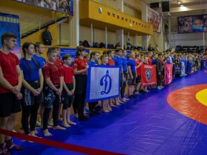 В Севастополе проходит чемпионат Южного федерального округа по панкратиону