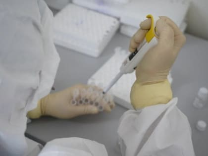 Оперативная сводка и информация о прививочной кампании против COVID-19 в Севастополе на утро 24 января