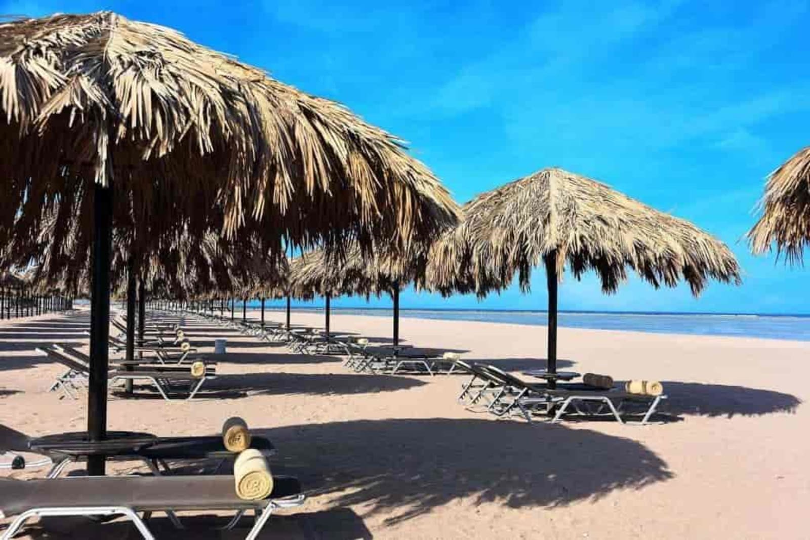 Steigenberger Alcazar Hotel Steigenberge-Alcazar-Hotel-Beach u55pob