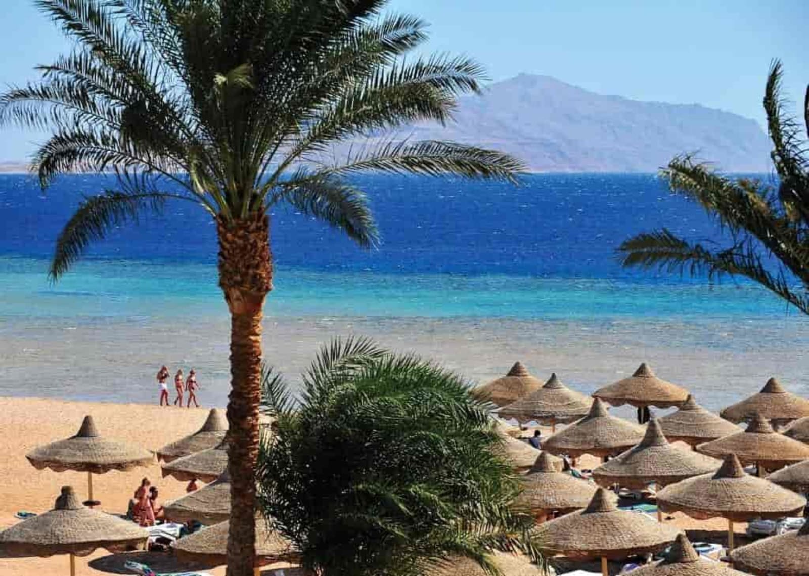 Baron Palms Resort Sharm El Sheikh Baron-Palms-Resort-Sharm-El-Sheikh-Beach ey7udm