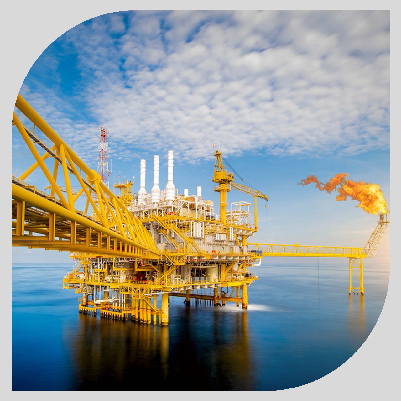 Oil & gas Cables