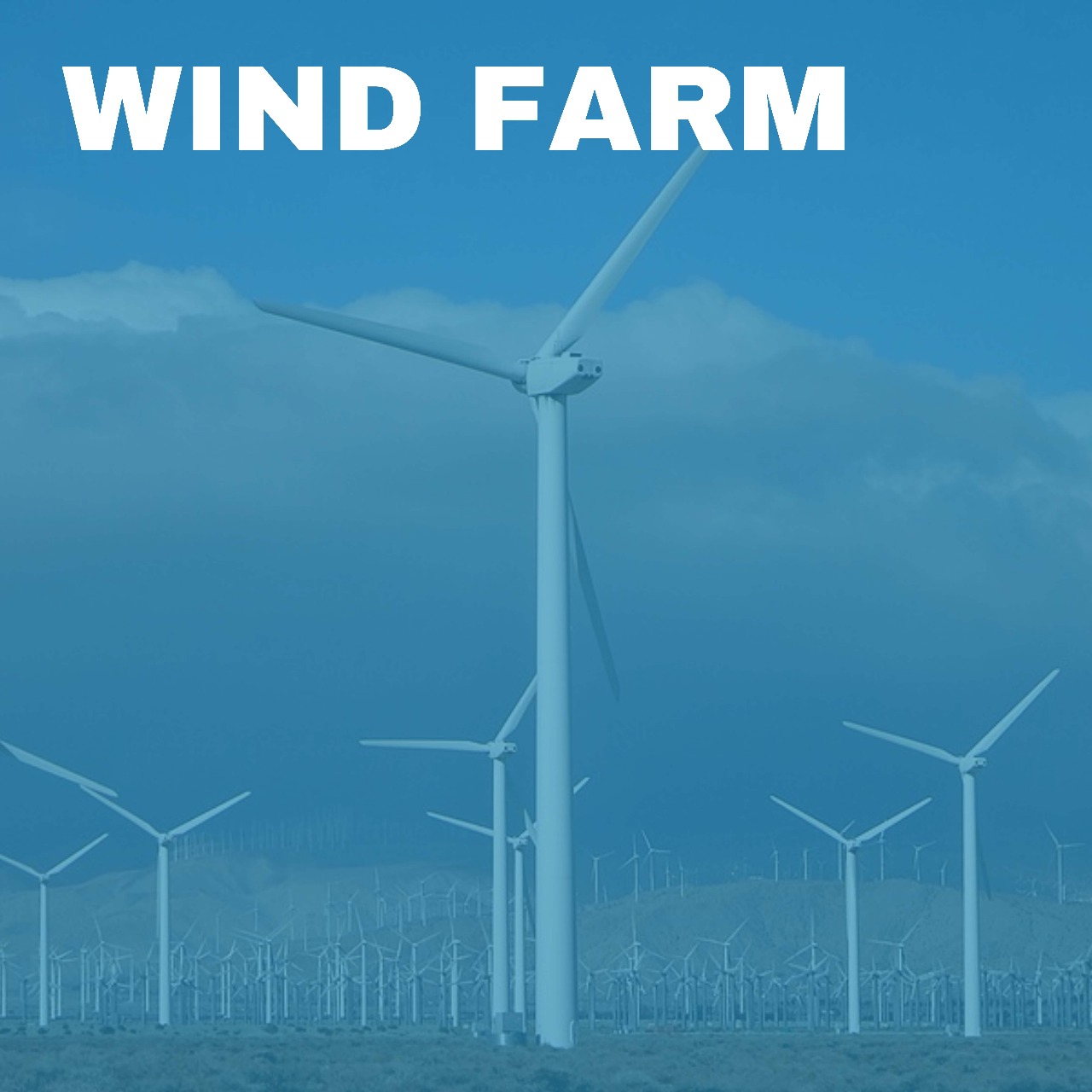 Wind Farm Cables
