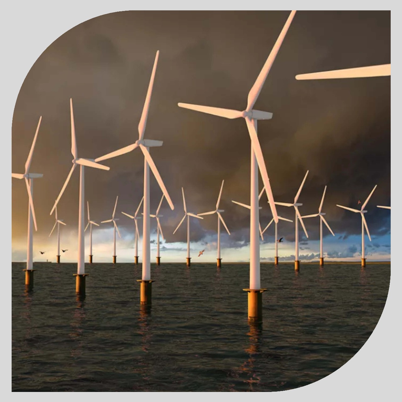 Wind Farm Cables