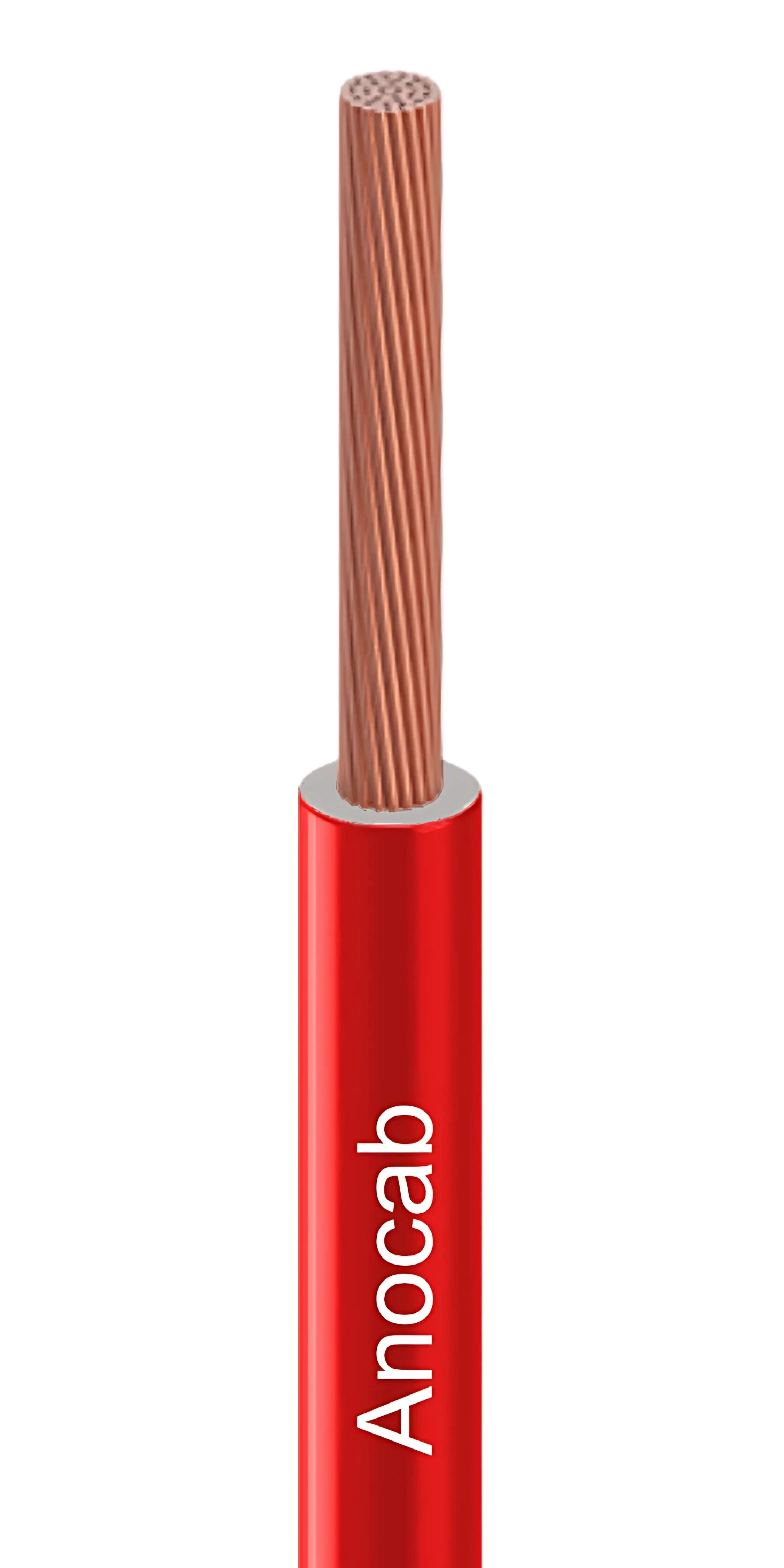 Conductor Image