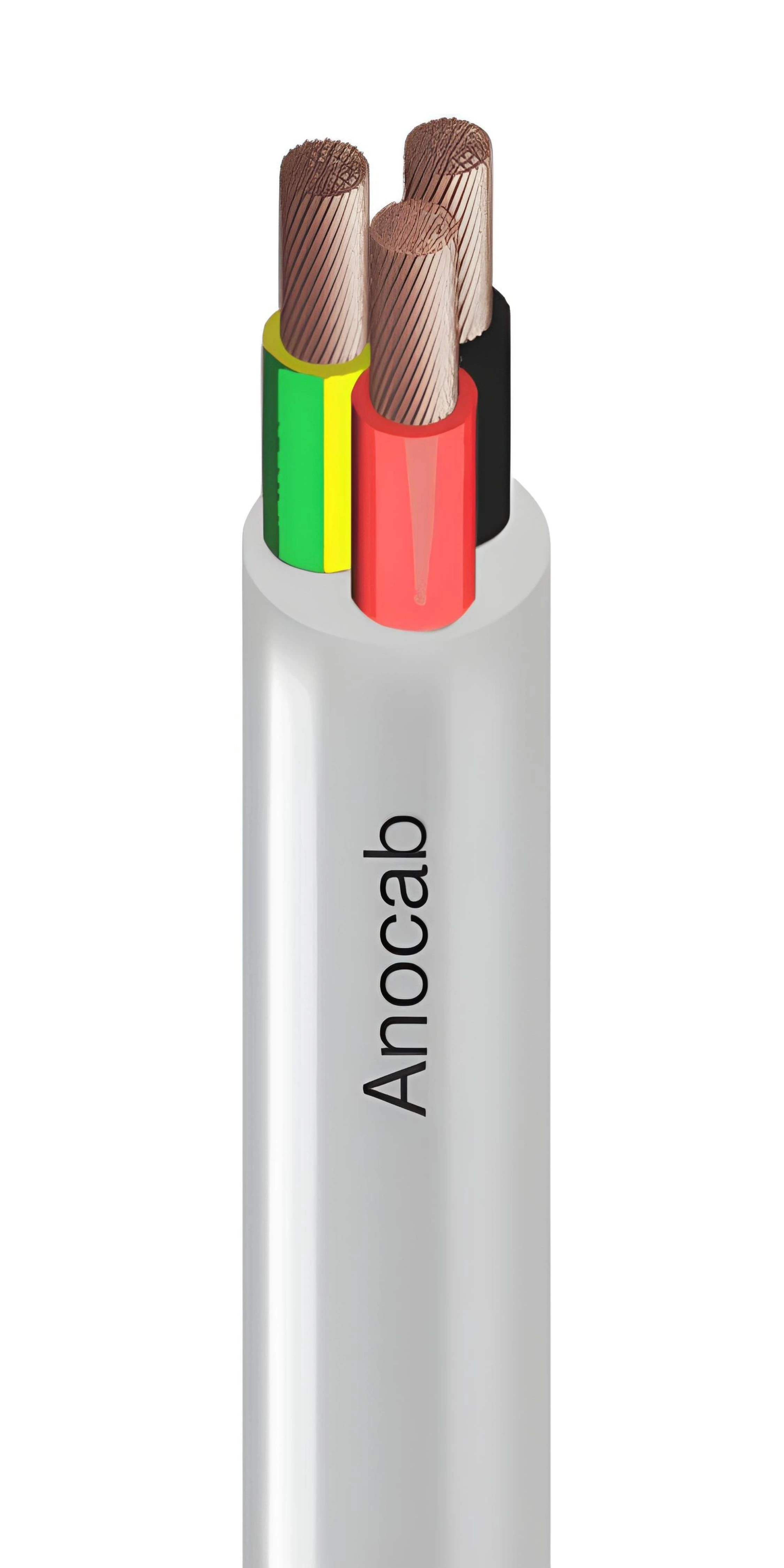 Conductor Image