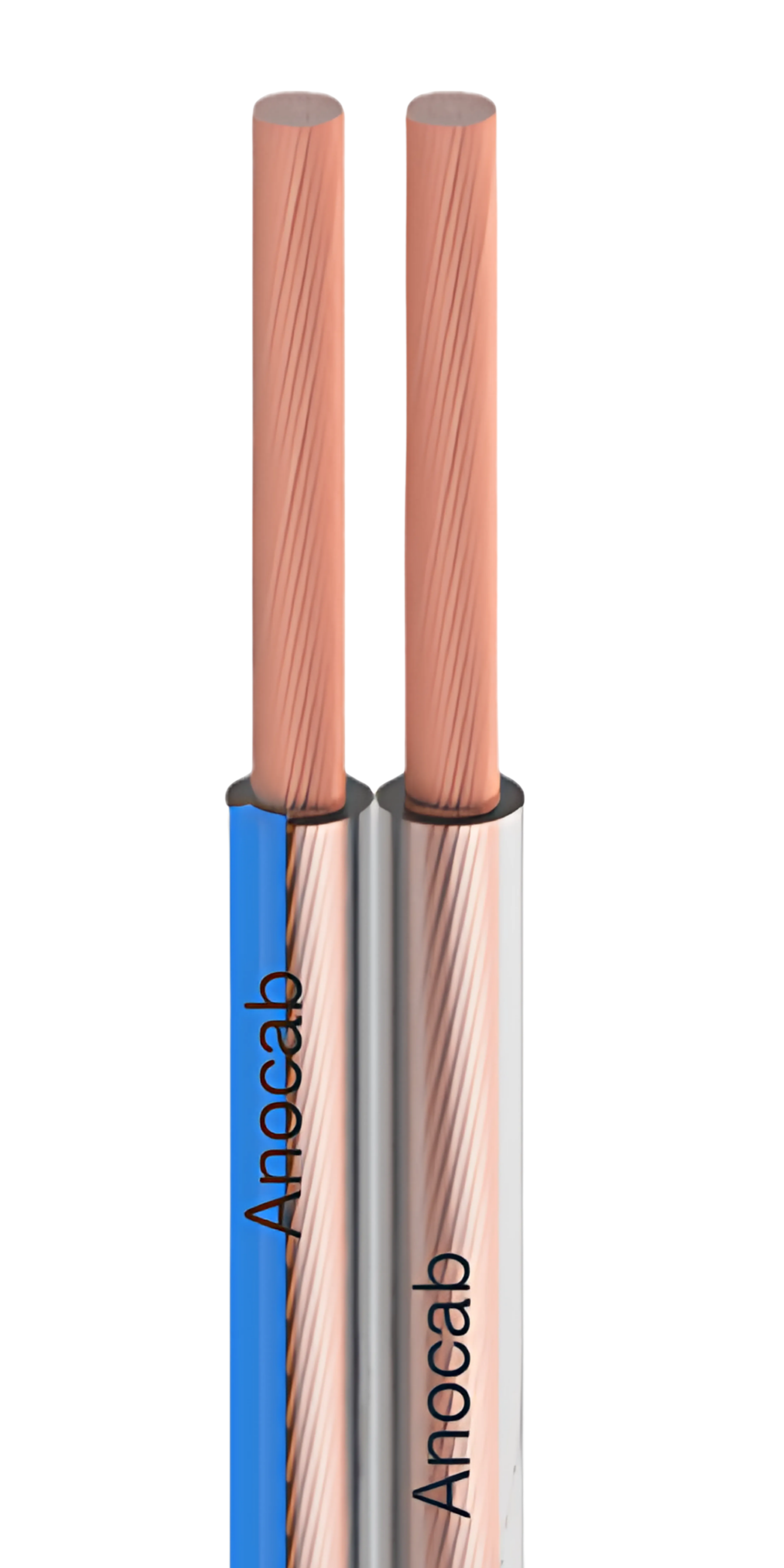 Conductor Image
