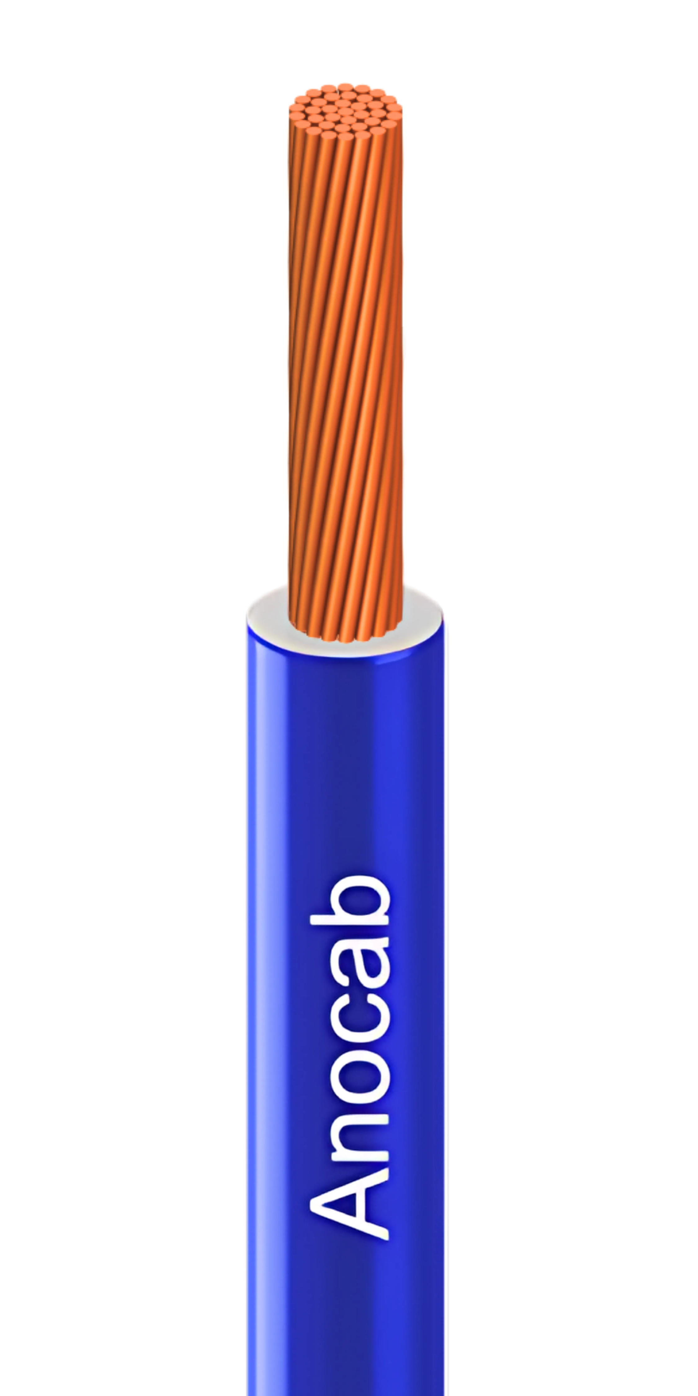 Conductor Image