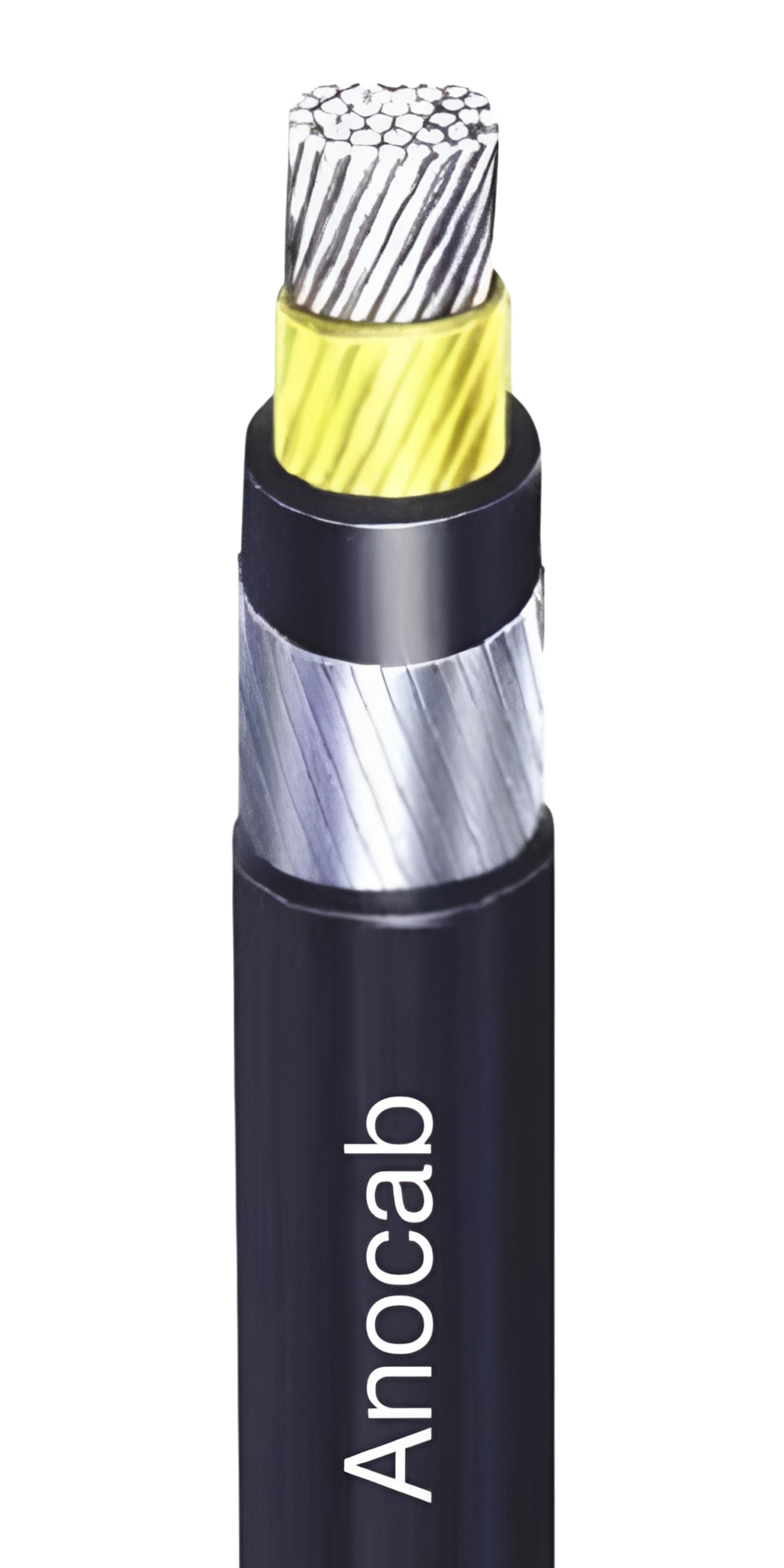 Conductor Image