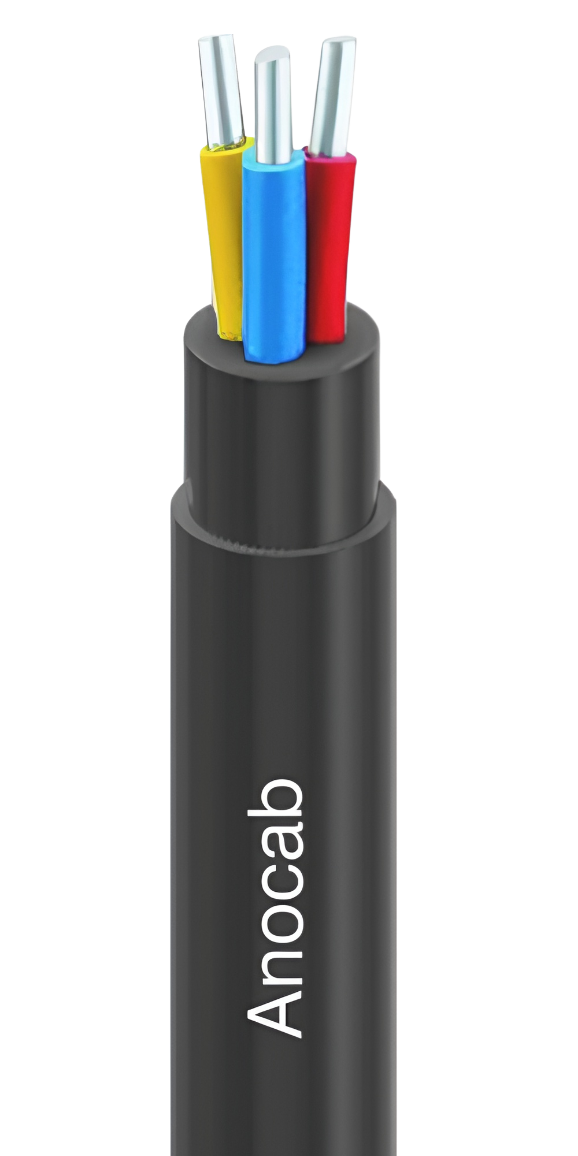 Conductor Image