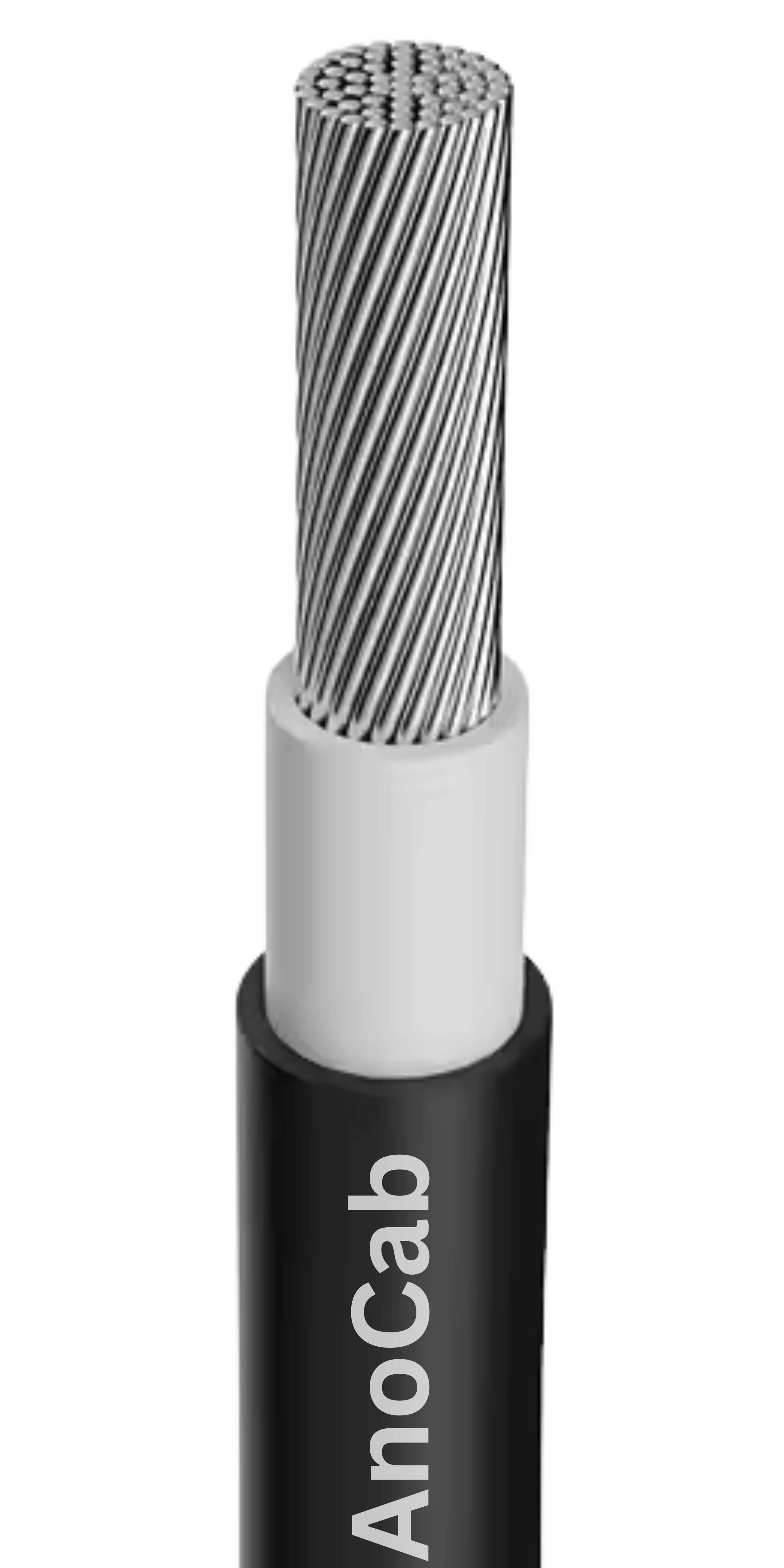 Conductor Image