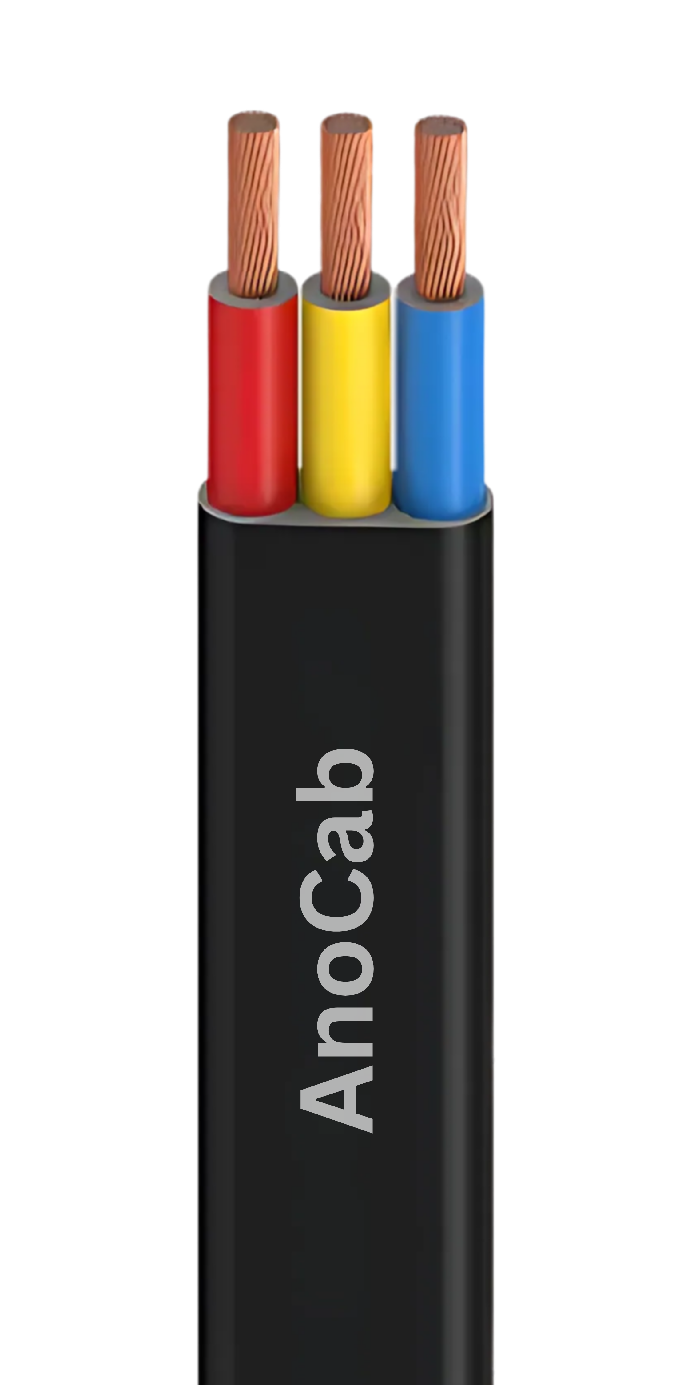 Conductor Image