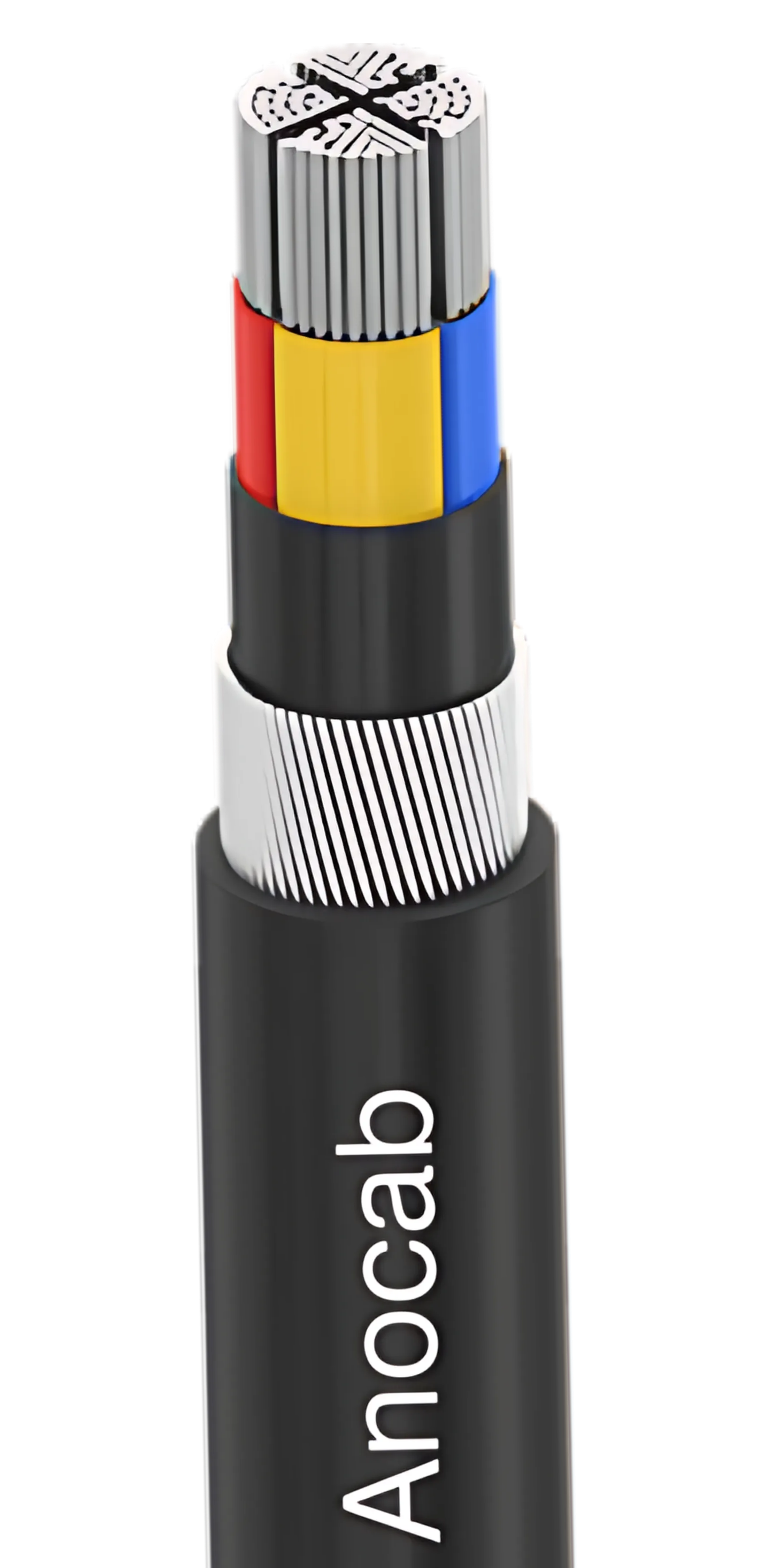 Conductor Image