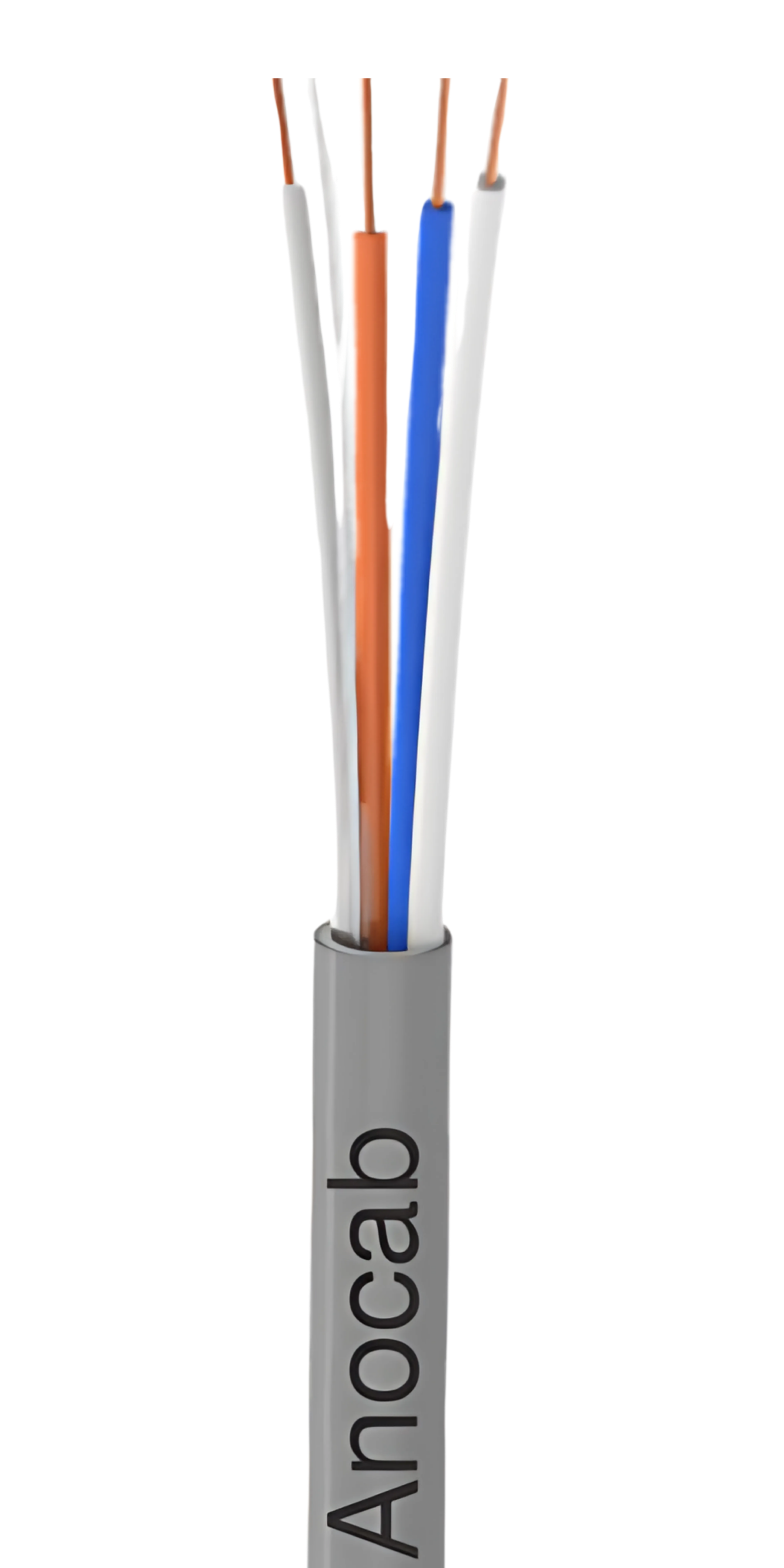 Conductor Image