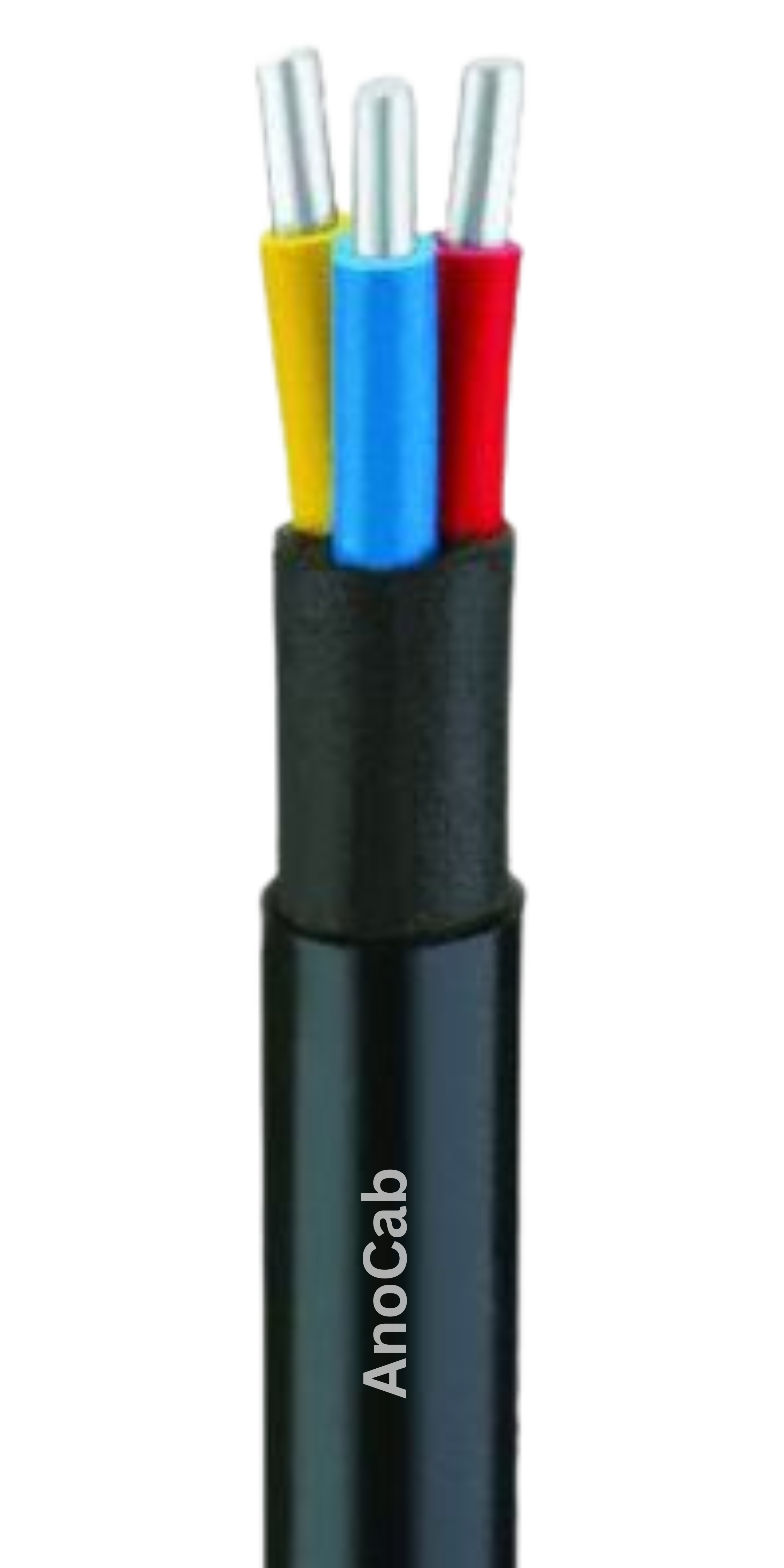 Conductor Image