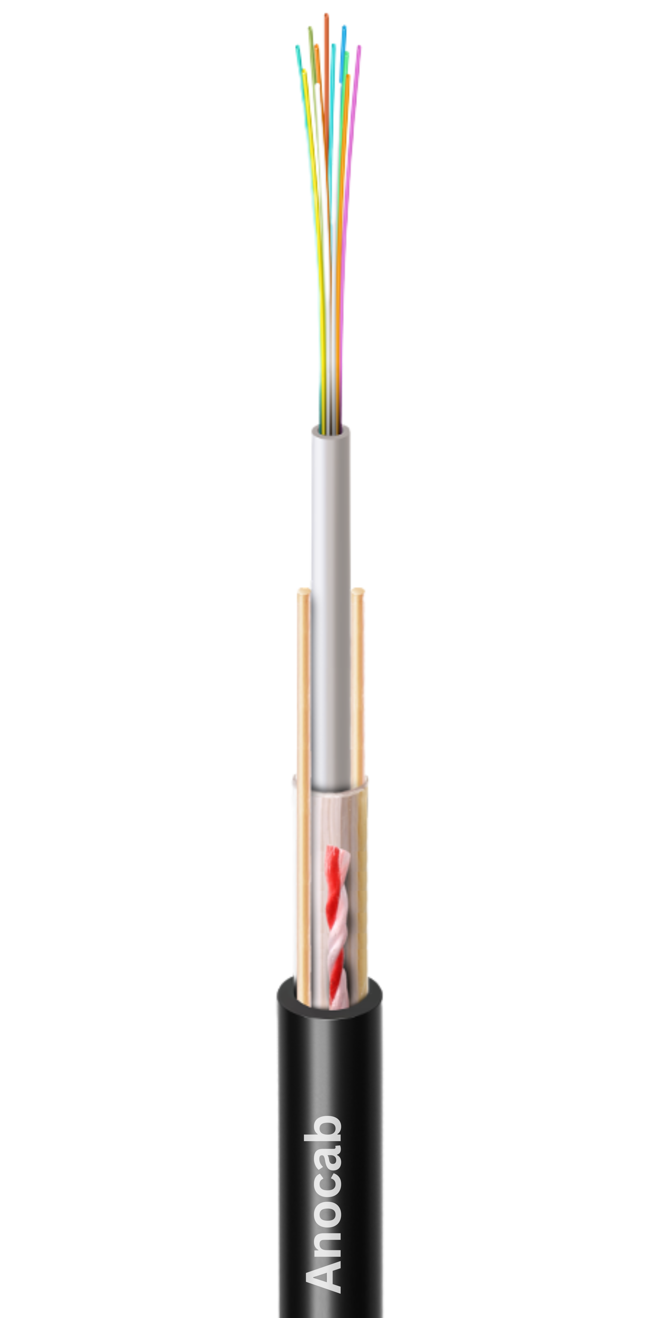 Conductor Image