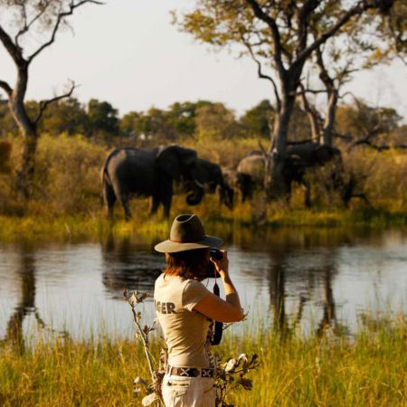 A woman taking pictures to elephants in Africa