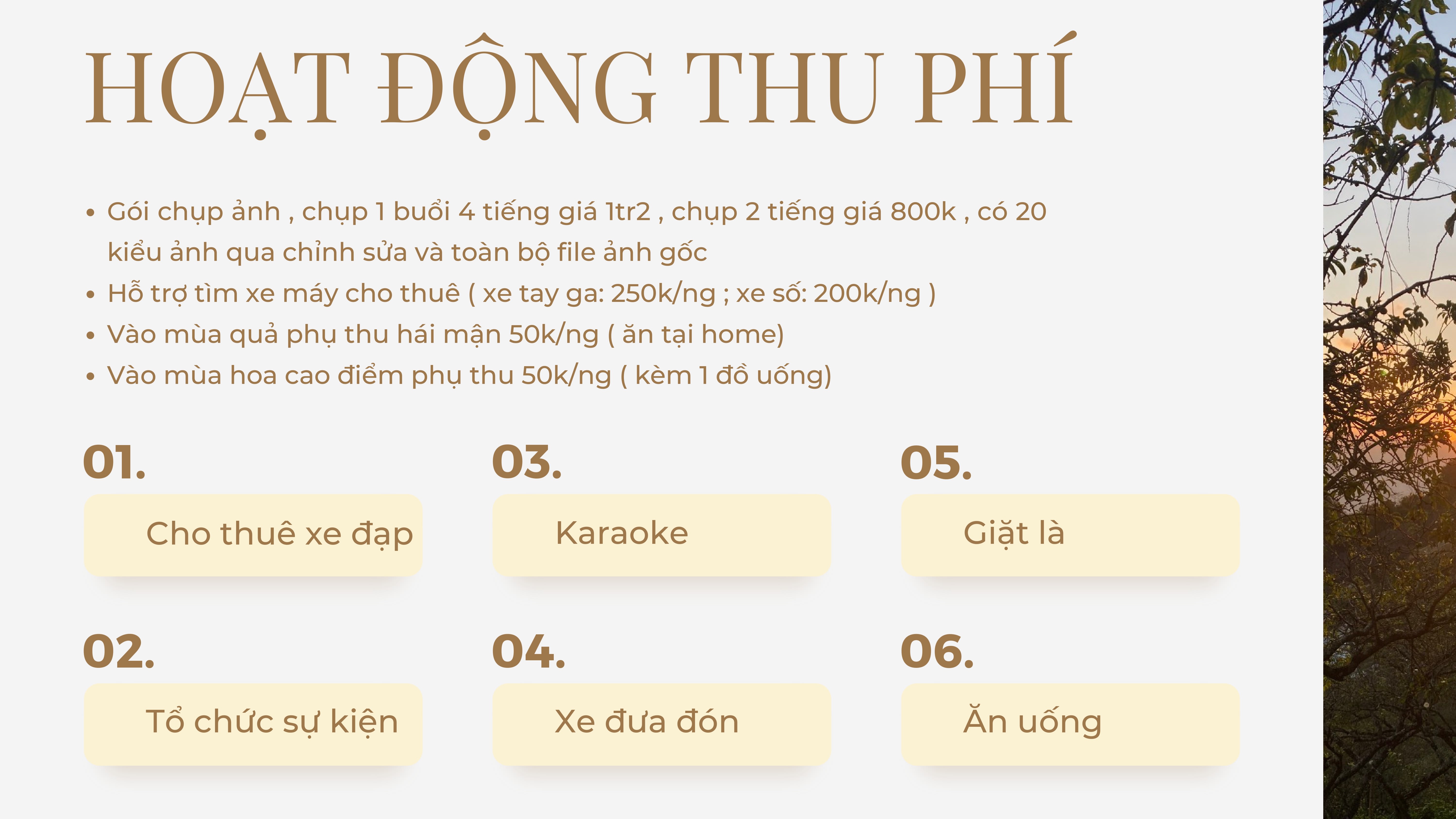 hoạt động thu phí