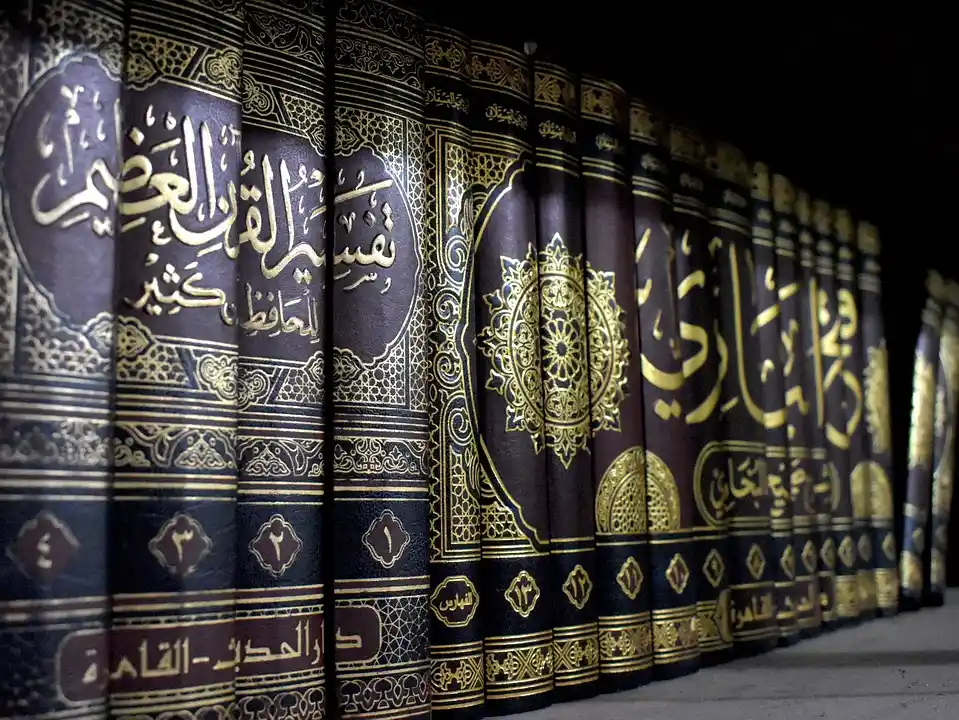 Quran translation and study materials