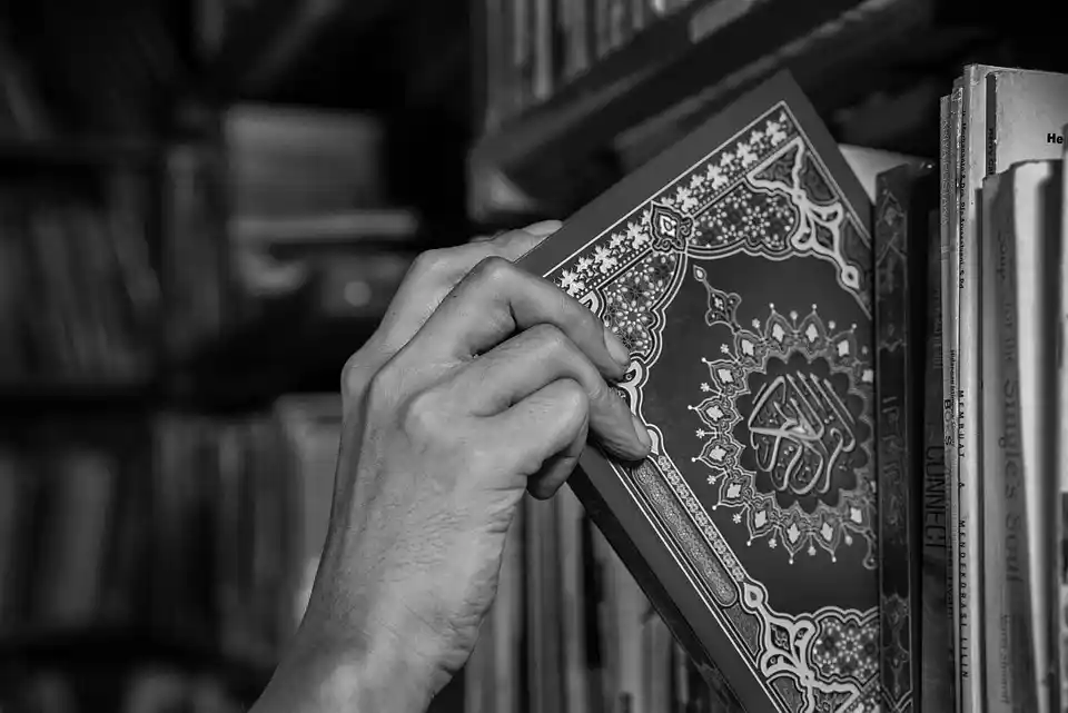 Tafseer Studies course illustration
