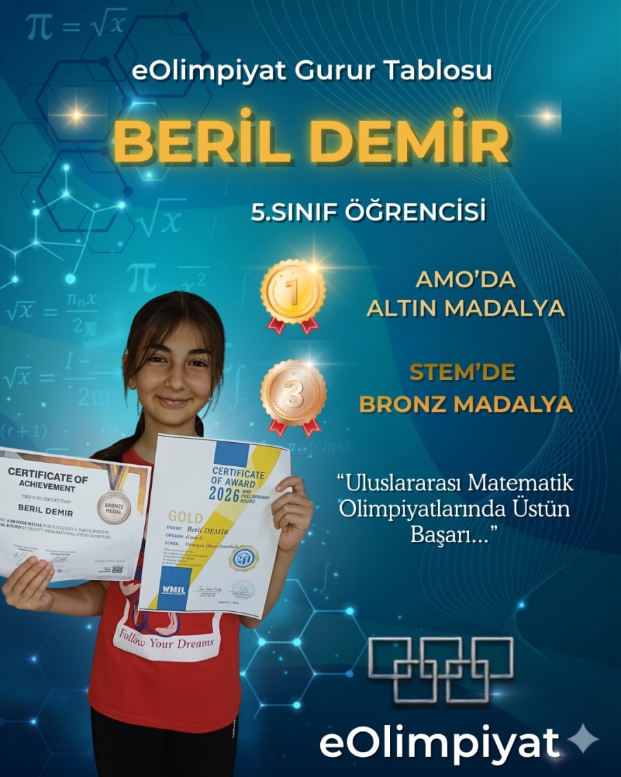 Beril Demir