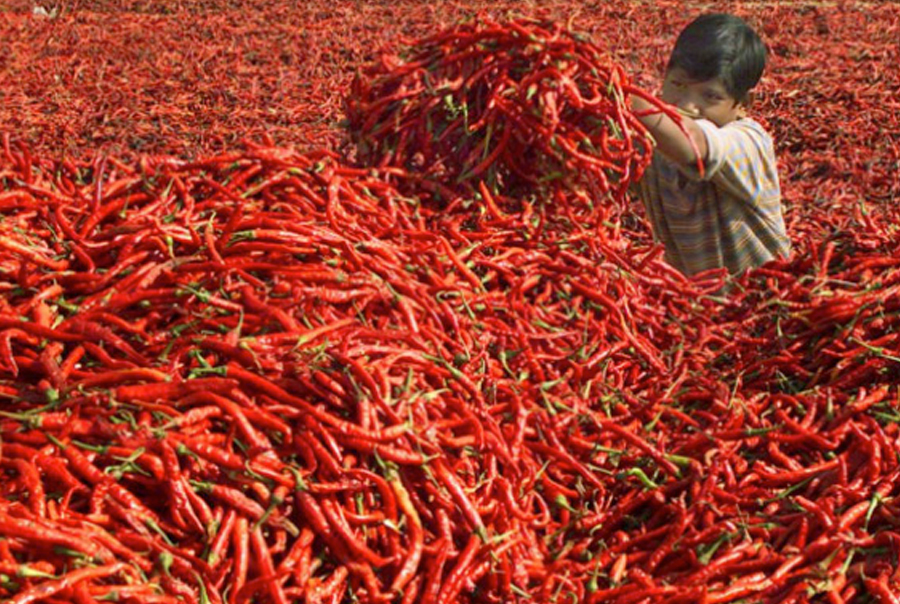 sriracha-chill-900x604