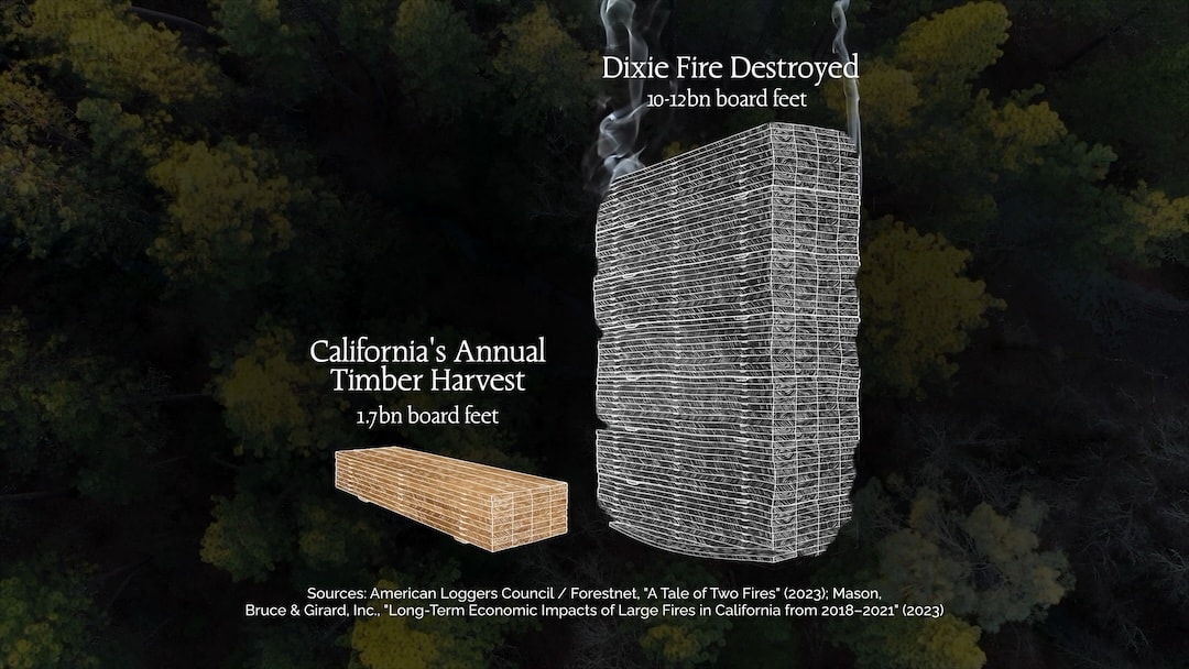 Custom motion graphics by Jonathan Cooksey. The Dixie Fire alone destroyed an estimated 10-12 billion board feet of timber, against California's annual harvest of 1.7 billion.
