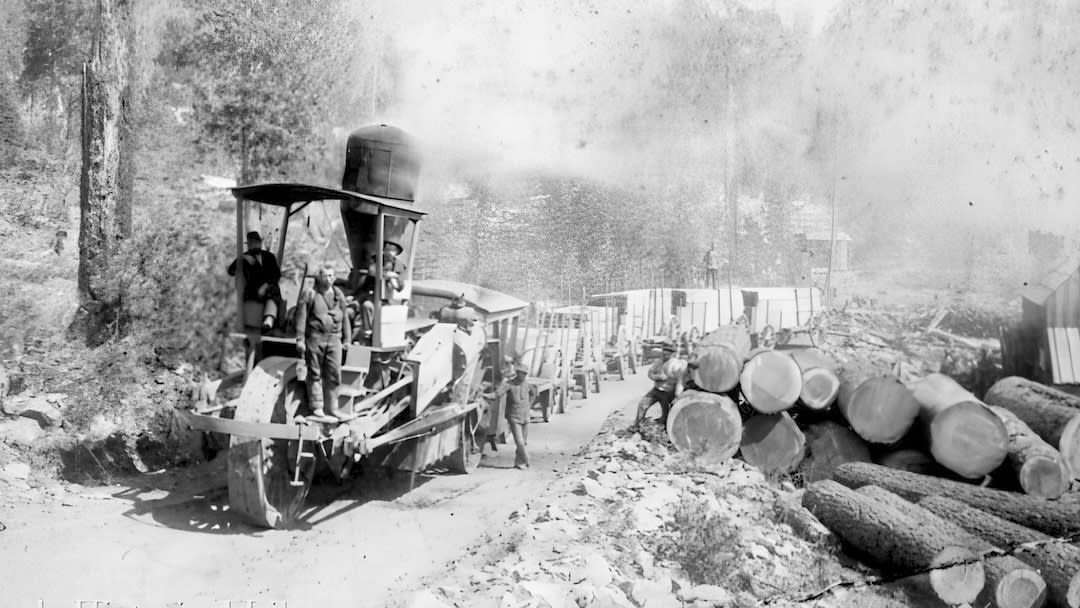 Early-1900s logging in the Sierra. A century of extractive logging combined with another century of fire suppression produced the overstocked, fuel-heavy forests that feed today's megafires.