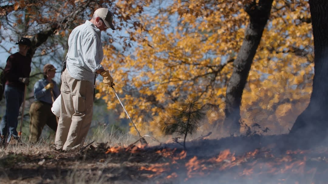 A community-member burn on a resident's own property. The film follows people working to put prescribed fire back on the landscape at every scale, from federal agencies to neighbors with drip torches.