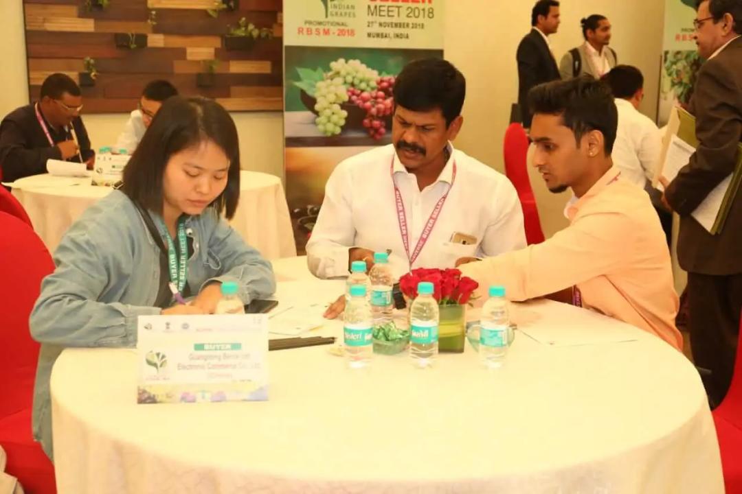 Indo China Summit