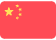 chinese