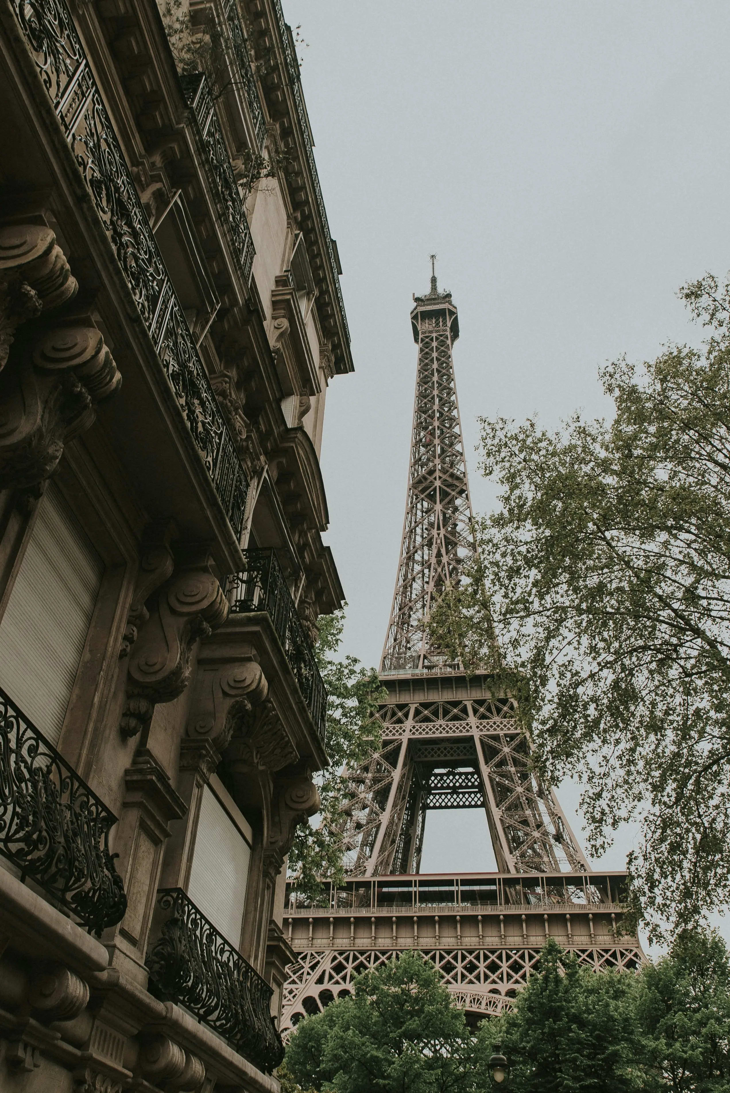 French-image-1