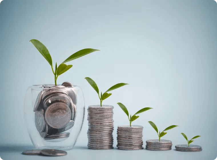 Financial Translation