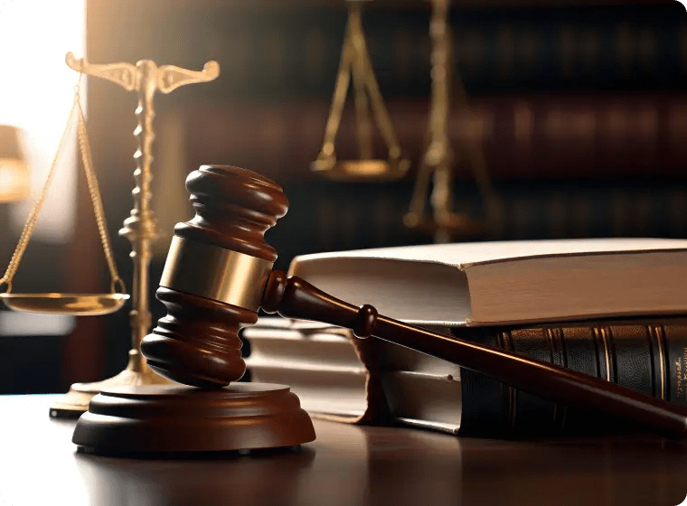 Legal Translation