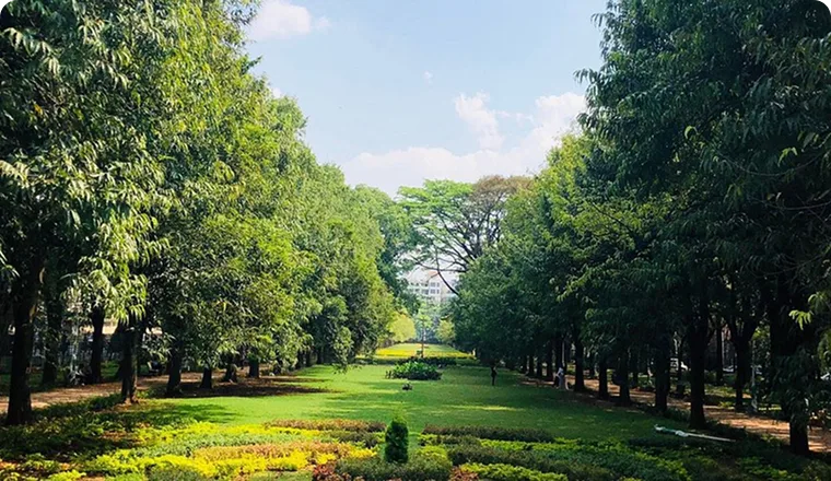 Cubbon Park