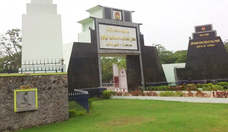 Arignar Anna Zoological Park