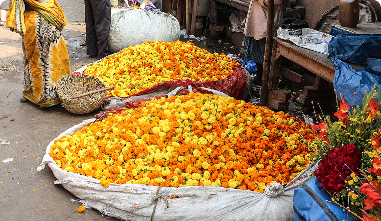 Mullik Ghat Flower Market