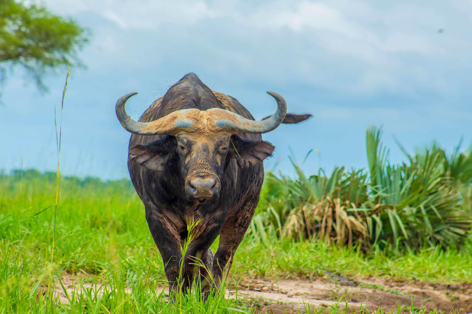 Tanzania natural places